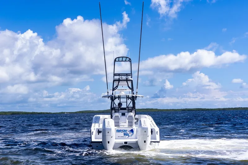 Slide: The Image of Freeman 34 Electric Bill - Aft Profile - 11