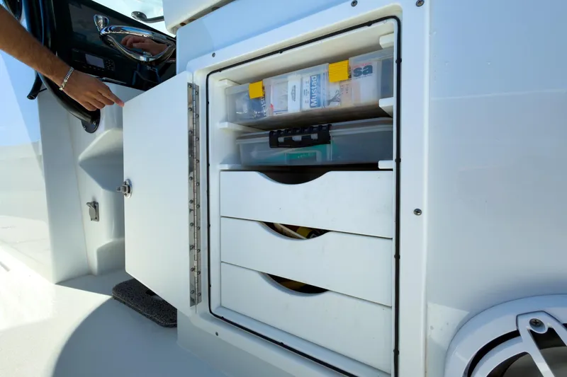 Slide: The Image of Freeman 34 Electric Bill - Cockpit - 18