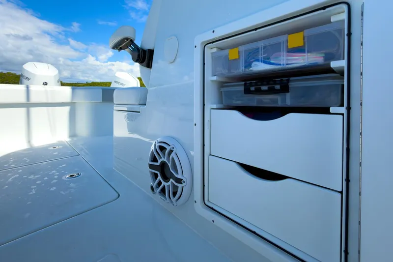 Slide: The Image of Freeman 34 Electric Bill - Cockpit - 19