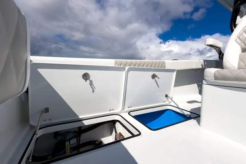 Slide: The Image of Freeman 34 Electric Bill - Cockpit Storage - 20