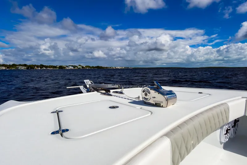 Slide: The Image of Freeman 34 Electric Bill - Bow - 28