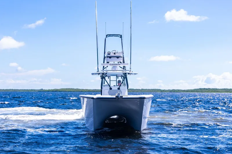 Slide: The Image of Freeman 34 Electric Bill - Bow Profile - 5