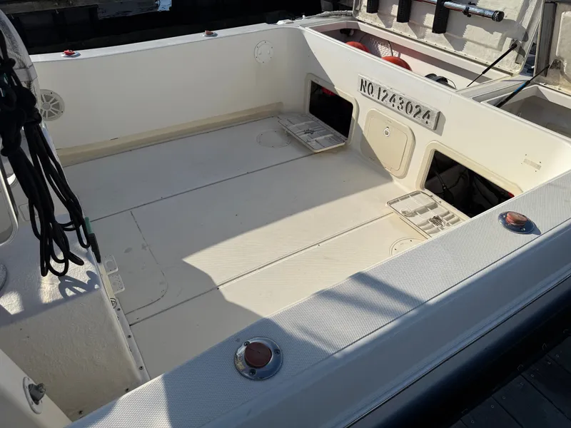 Slide: The Image of World Cat 266 SC 2000 - 13