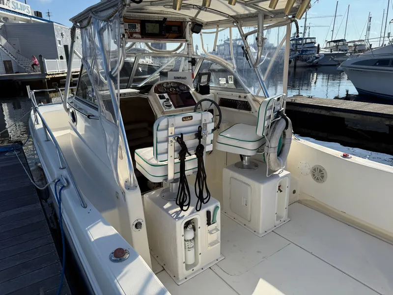 Slide: The Image of World Cat 266 SC 2000 - 14