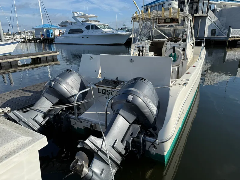 Slide: The Image of World Cat 266 SC 2000 - 20