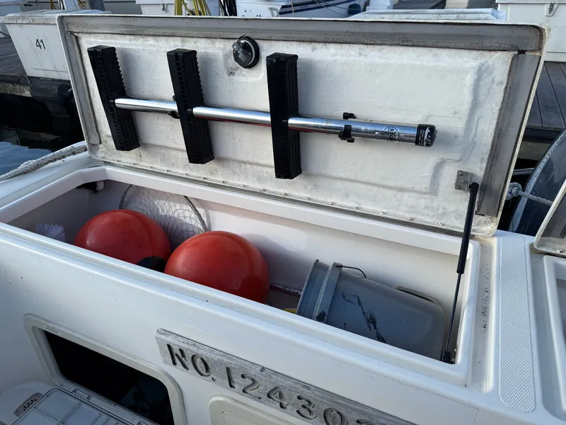 Slide: The Image of World Cat 266 SC 2000 - 4