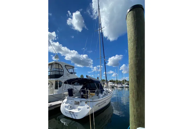 Slide: The Image of Catalina 309 sailboat docked at marina, clear blue sky, 2006 model. - 17