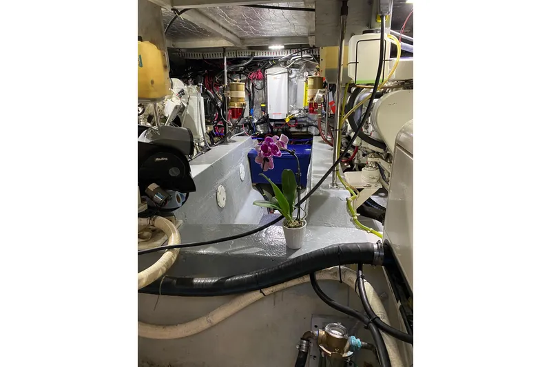 Slide: The Image of Engine room of 1998 Carver 445 Aft Cabin Motor Yacht with orchid plant. - 48