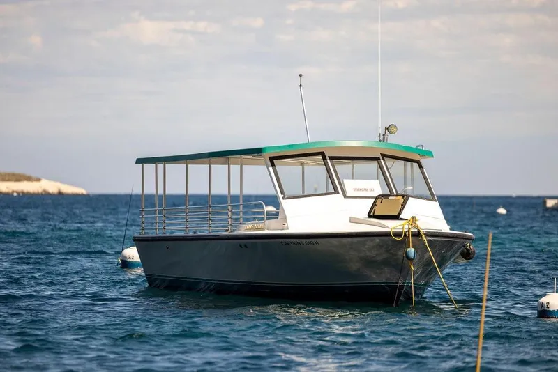 Slide: The Image of 2018 Seahawk Island Hopper boat anchored on calm blue water. - 4