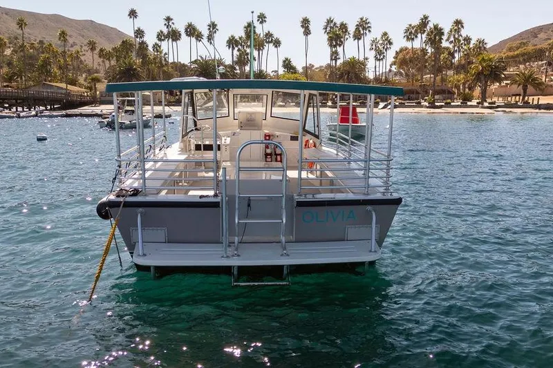 Slide: The Image of Seahawk Island Hopper 2019 boat docked near tropical shoreline with palm trees. - 16