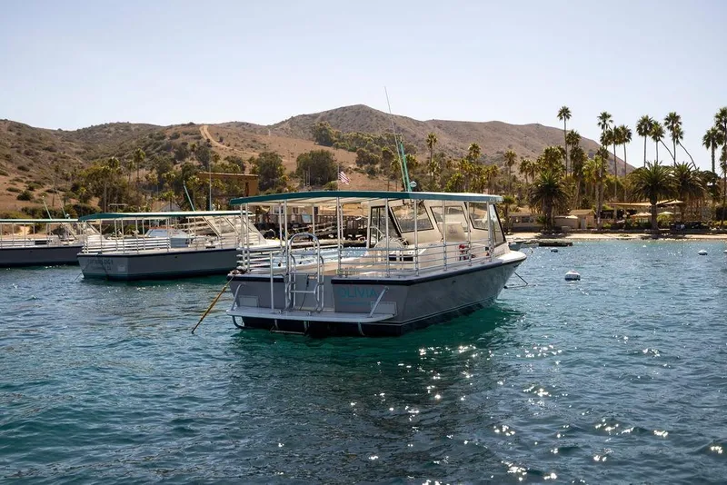 Slide: The Image of 2019 Seahawk Island Hopper boat anchored near a scenic coastline with palm trees. - 6