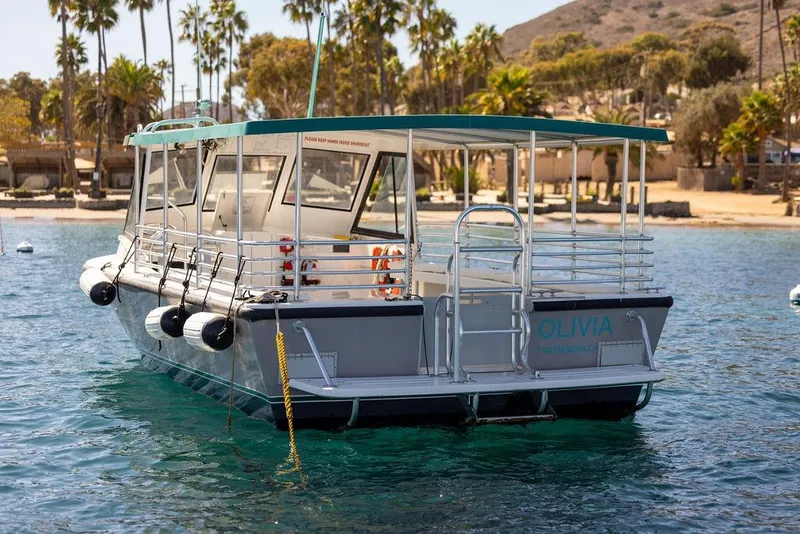 Slide: The Image of Seahawk Island Hopper 2019 boat docked near tropical beach with palm trees. - 7