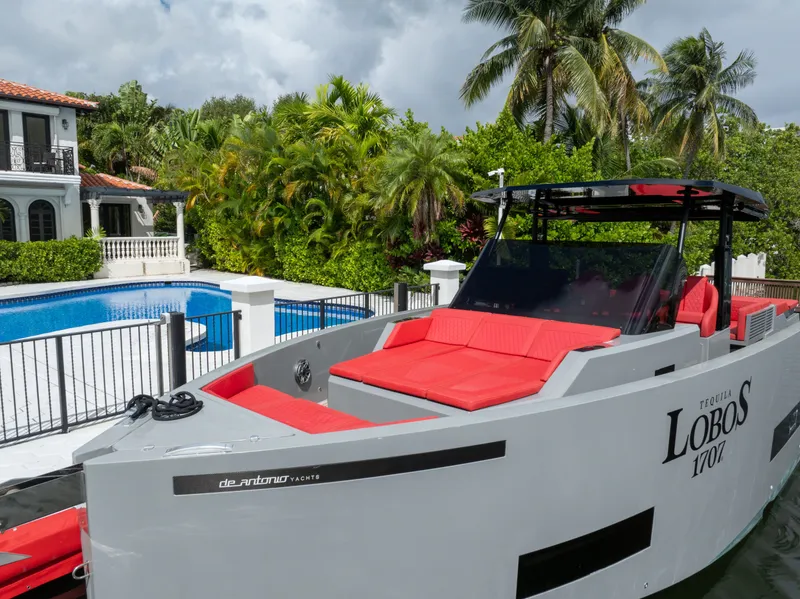 Slide: The Image of De Antonio D42 Open 2023 - 23