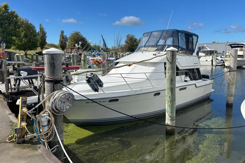 The Image of 1993 Carver 350 Voyager docked at a marina under a clear blue sky. - 0