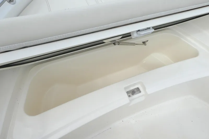 Slide: The Image of 2024 Boston Whaler 220 Dauntless storage compartment with open lid and hydraulic support. - 10