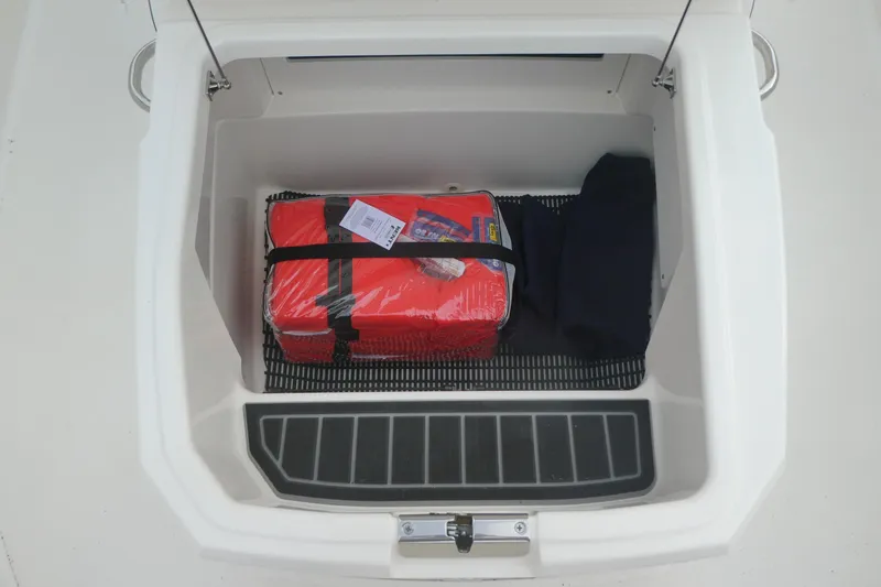Slide: The Image of Storage compartment of 2024 Boston Whaler 220 Dauntless with safety gear. - 11