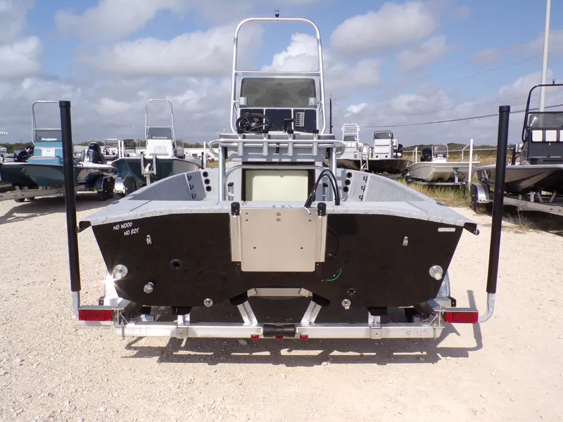 Slide: The Image of Freedom 18 PATRIOT CAT 2025 - 10