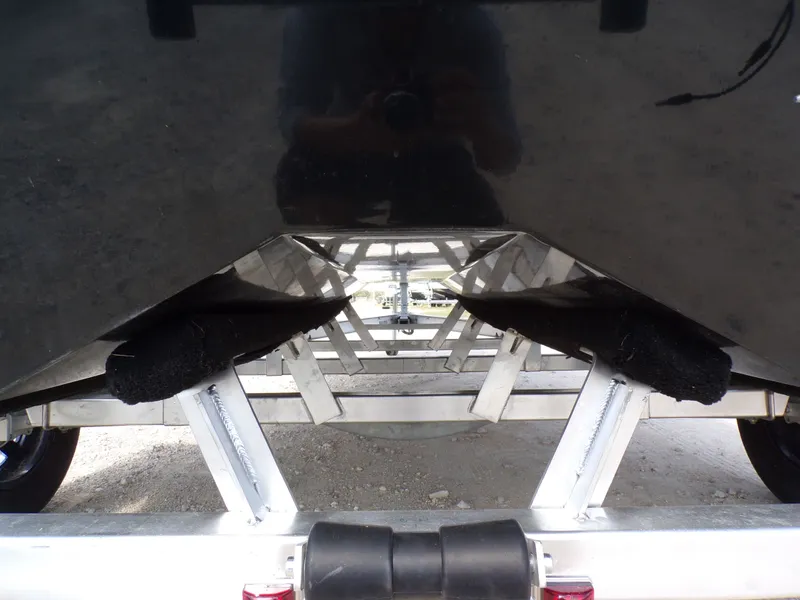 Slide: The Image of Freedom 18 PATRIOT CAT 2025 - 11