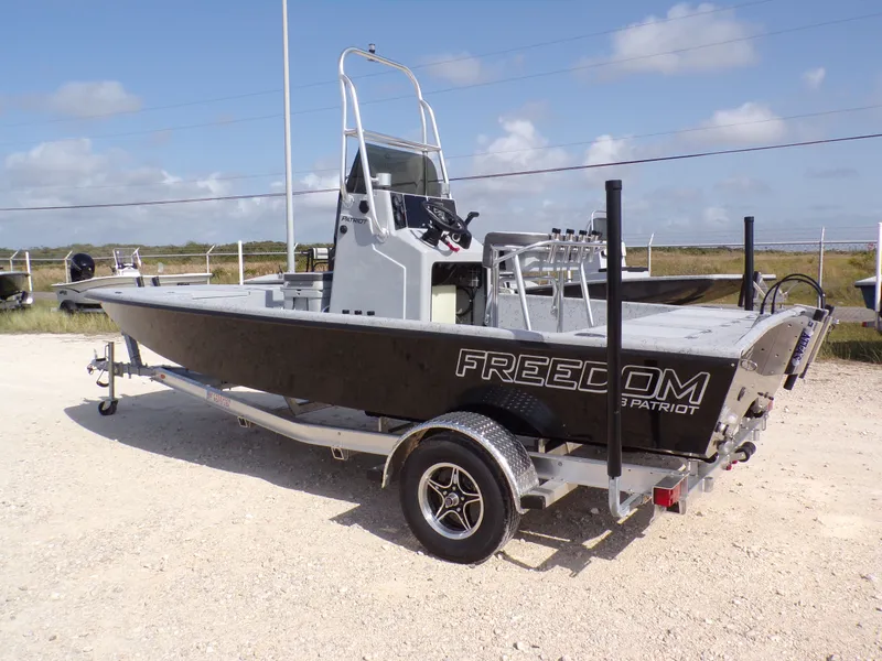 Slide: The Image of Freedom 18 PATRIOT CAT 2025 - 12