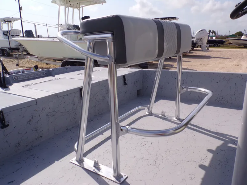 Slide: The Image of Freedom 18 PATRIOT CAT 2025 - 20