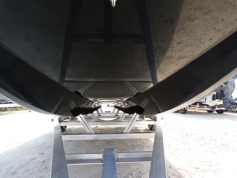 Slide: The Image of Freedom 18 PATRIOT CAT 2025 - 6