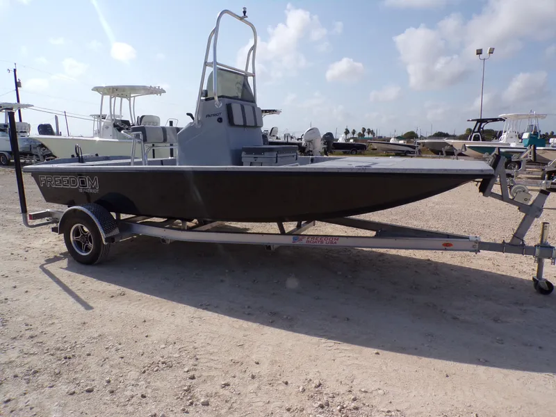 Slide: The Image of Freedom 18 PATRIOT CAT 2025 - 7