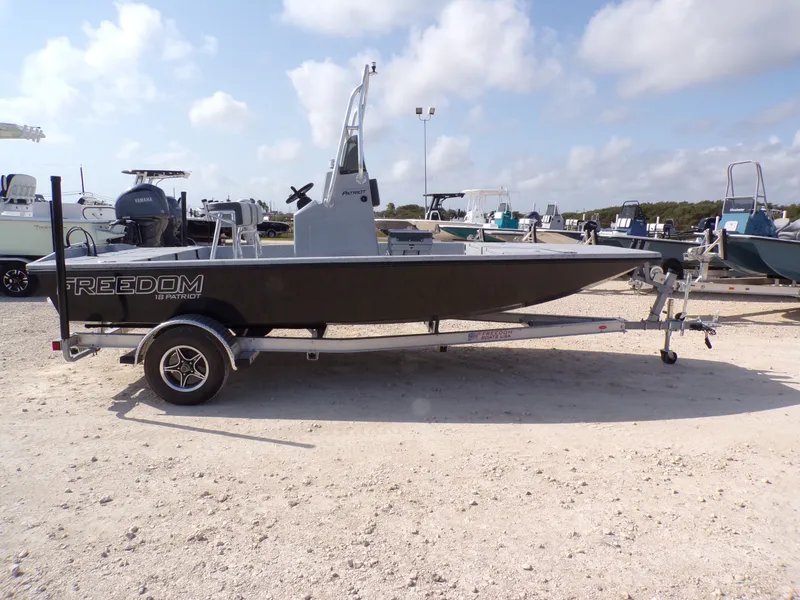 Slide: The Image of Freedom 18 PATRIOT CAT 2025 - 8