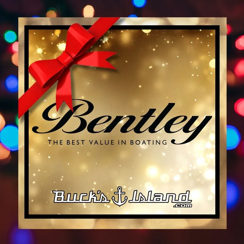 Slide: The Image of Bentley Pontoons Bentley Bolt 200 2026 - 9