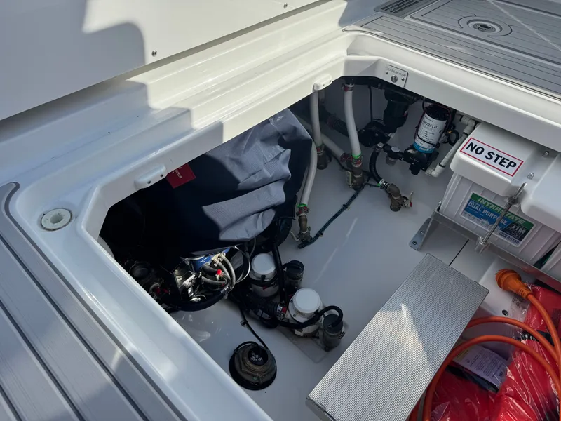 Slide: The Image of Everglades 367 CX 2026 - 38