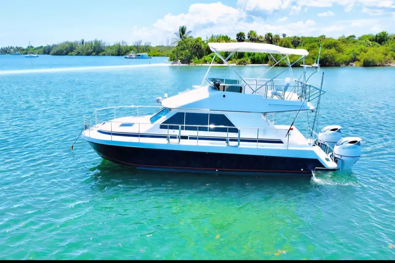 The Image of 2001 Zeta 32 Power Catamaran on clear blue water, lush green shoreline in background. - 0