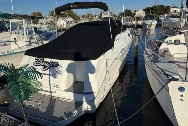 Slide: The Image of 1999 Sea Ray 260 Sundancer boat docked, covered with black tarp, surrounded by other boats. - 2