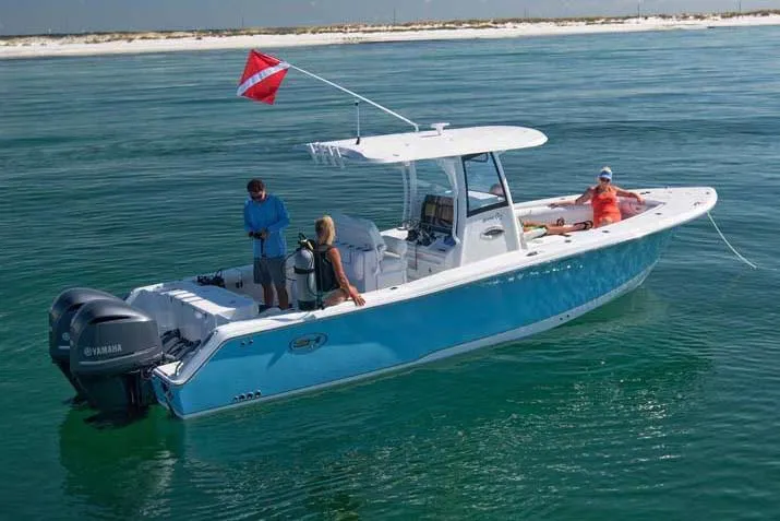 Slide: The Image of Manufacturer Provided Image - 85