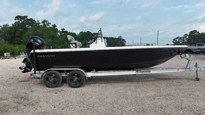 The Image of Savannah 210X 2025 - 1