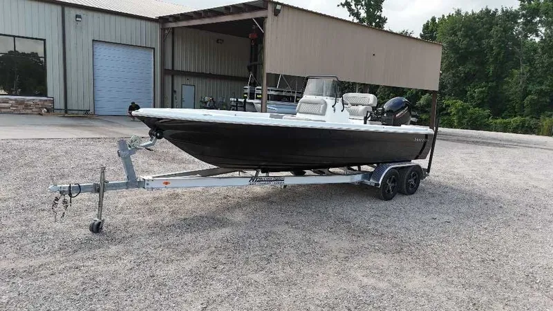 Slide: The Image of Savannah 210X 2025 - 3