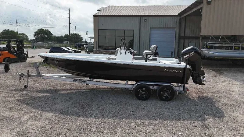 Slide: The Image of Savannah 210X 2025 - 4