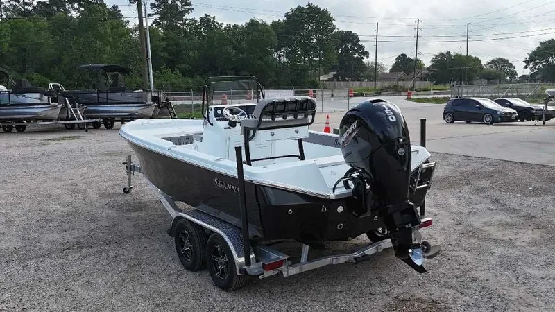 Slide: The Image of Savannah 210X 2025 - 5