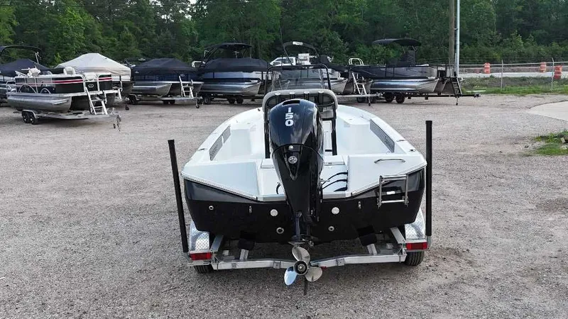 Slide: The Image of Savannah 210X 2025 - 6