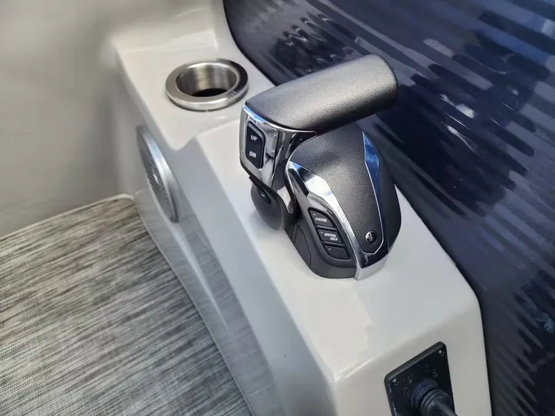 Slide: The Image of Bennington 26 LXSR 2021 - 11