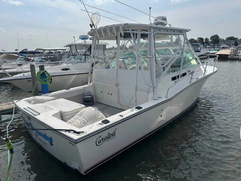 The Image of Carolina 28 2007 - 0