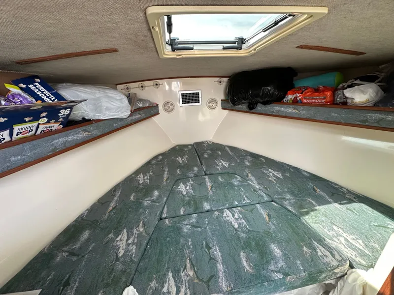 Slide: The Image of Carolina 28 2007 - 13