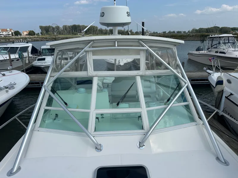 Slide: The Image of Carolina 28 2007 - 19