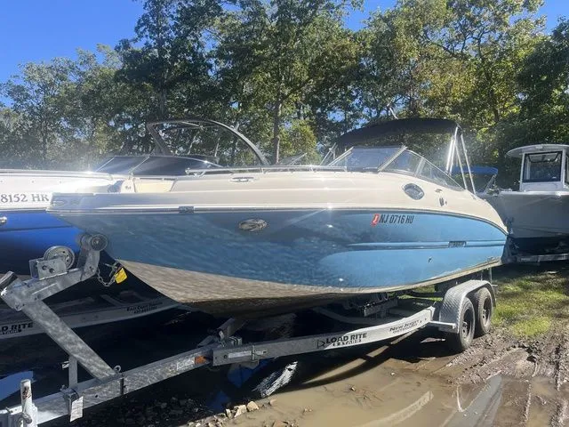 The Image of Stingray 231 2024 - 1