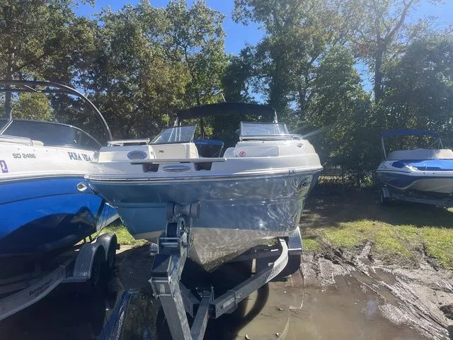 Slide: The Image of Stingray 231 2024 - 2