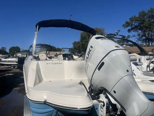 Slide: The Image of Stingray 231 2024 - 3