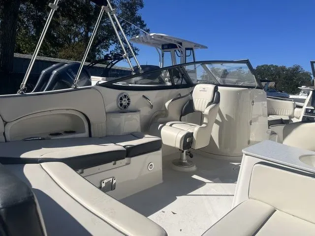 Slide: The Image of Stingray 231 2024 - 4