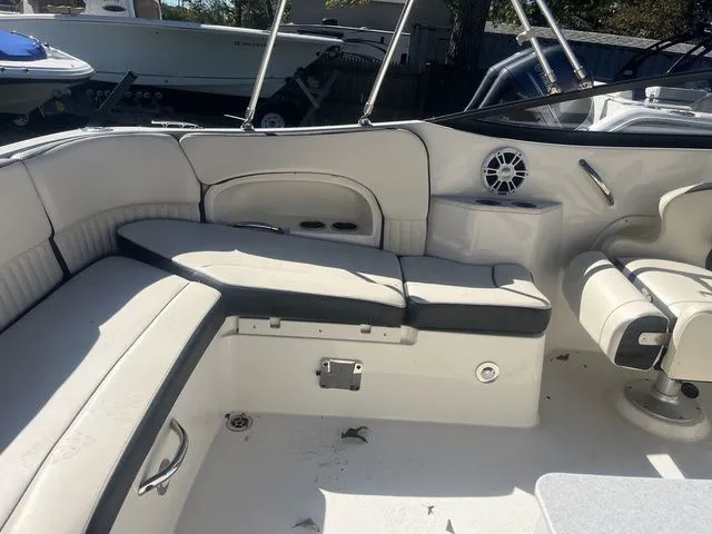 Slide: The Image of Stingray 231 2024 - 7