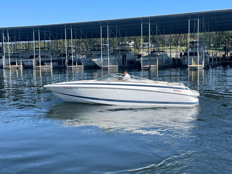 The Image of Cobalt 252 1998 - 1