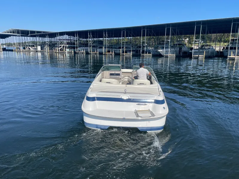 Slide: The Image of Cobalt 252 1998 - 14