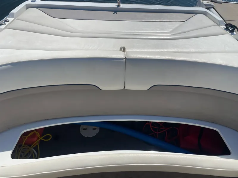 Slide: The Image of Cobalt 252 1998 - 2