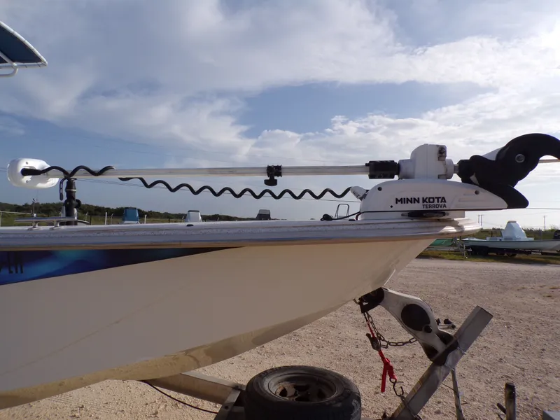 Slide: The Image of Carolina 238 DLV 2018 - 27